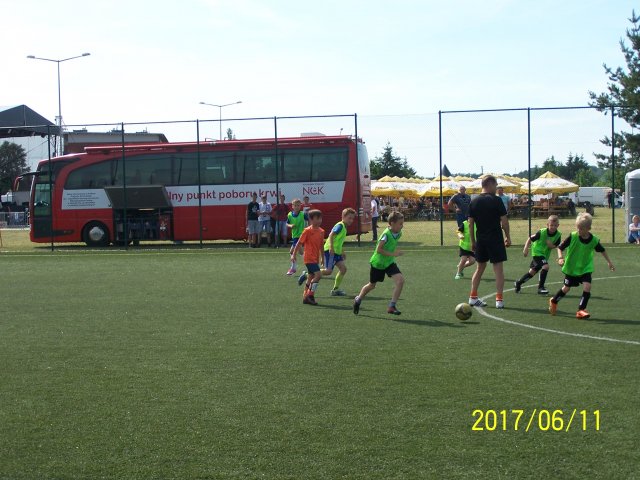 gwiazdy 11